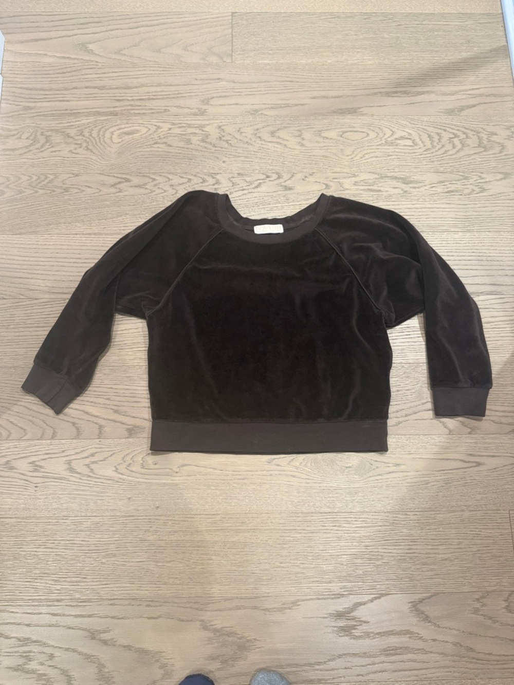 Suzi Kondi Women's Brown Velour Crewneck Sweatshirt